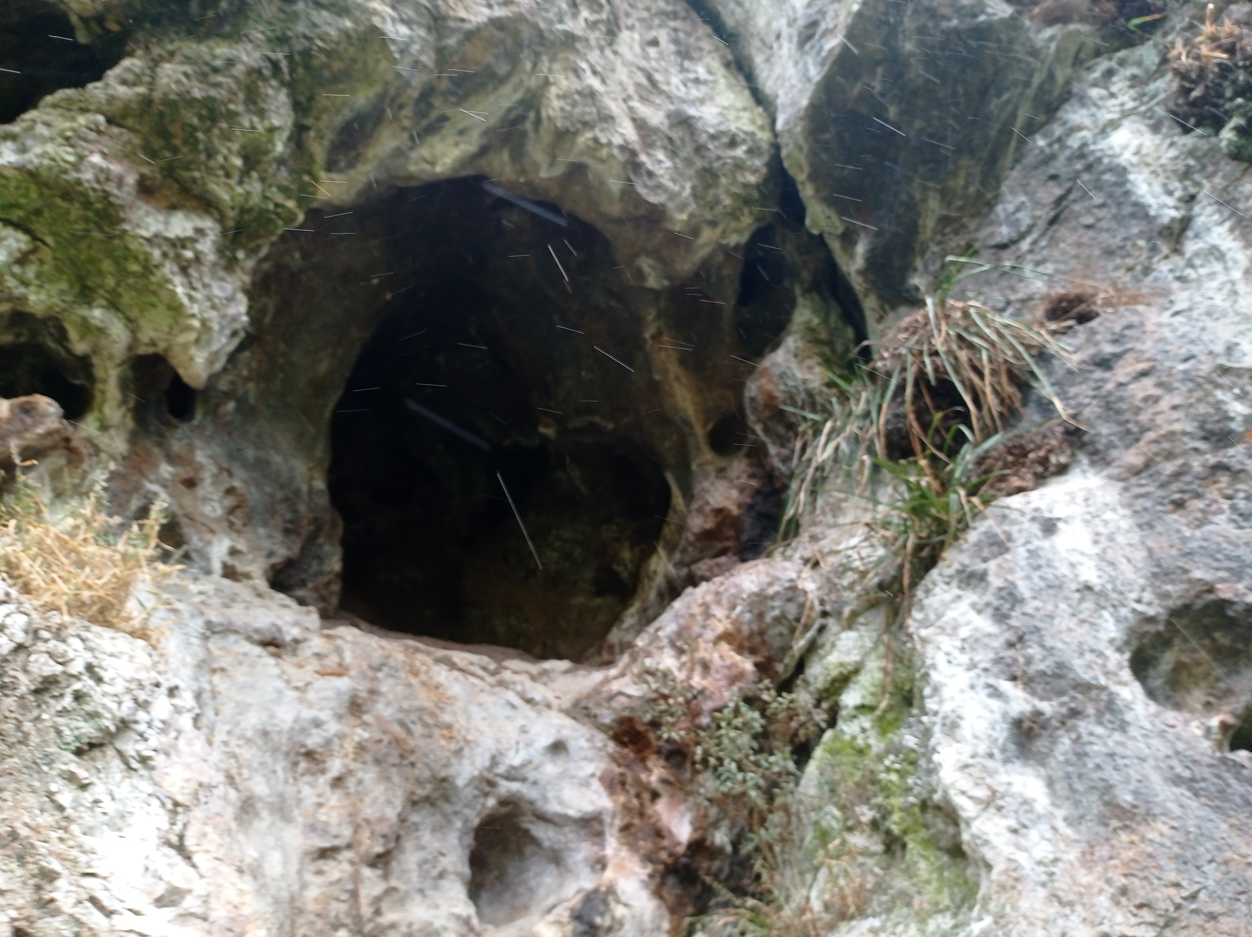 Explora Cerro Campanas, un lugar turístico en EL CARMEN DE LA FRONTERA, Piura. Descubre su ubicación, altitud, y las actividades que ofrece.