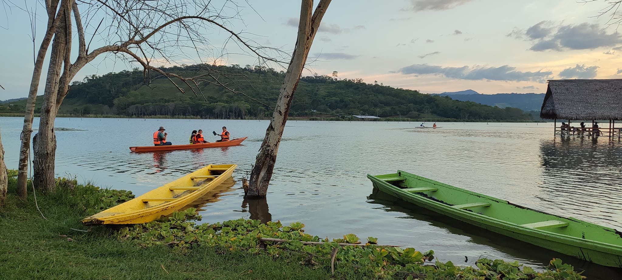 Explora Laguna Ricuricocha, un lugar turístico en TARAPOTO, San Martín. Descubre su ubicación, altitud, y las actividades que ofrece.