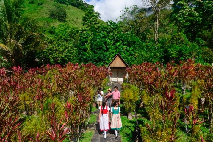 Explora Cementerio Los Colonos - Pozuzo, un lugar turístico en POZUZO, Pasco. Descubre su ubicación, altitud, y las actividades que ofrece.