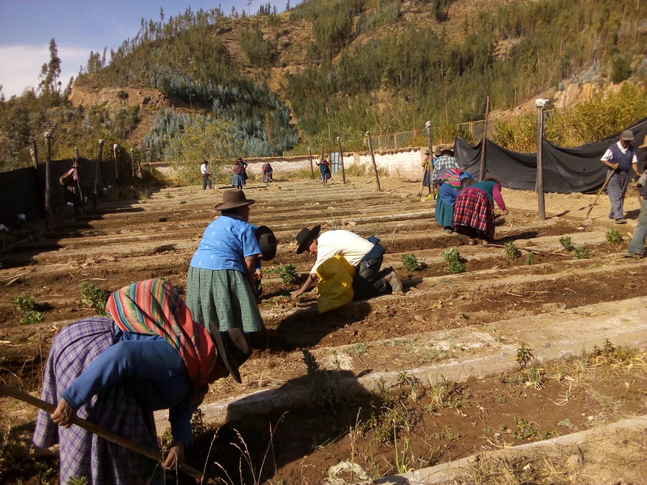 Explora Pueblo De Tarucachi, un lugar turístico en TARUCACHI, Tacna. Descubre su ubicación, altitud, y las actividades que ofrece.