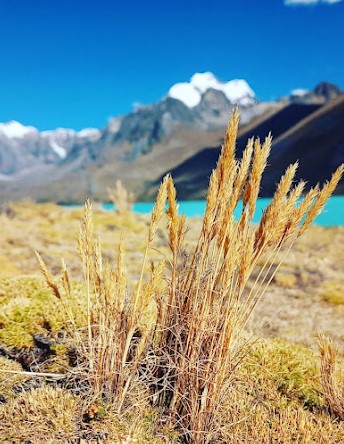 Explora Laguna De Singrenacocha - Sector Ocongate, un lugar turístico en OCONGATE, Cusco. Descubre su ubicación, altitud, y las actividades que ofrece.