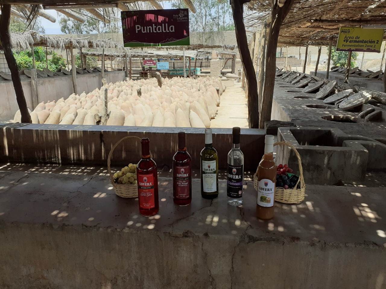 Explora Bodega Lovera Pérez, un lugar turístico en LOS AQUIJES, Ica. Descubre su ubicación, altitud, y las actividades que ofrece.