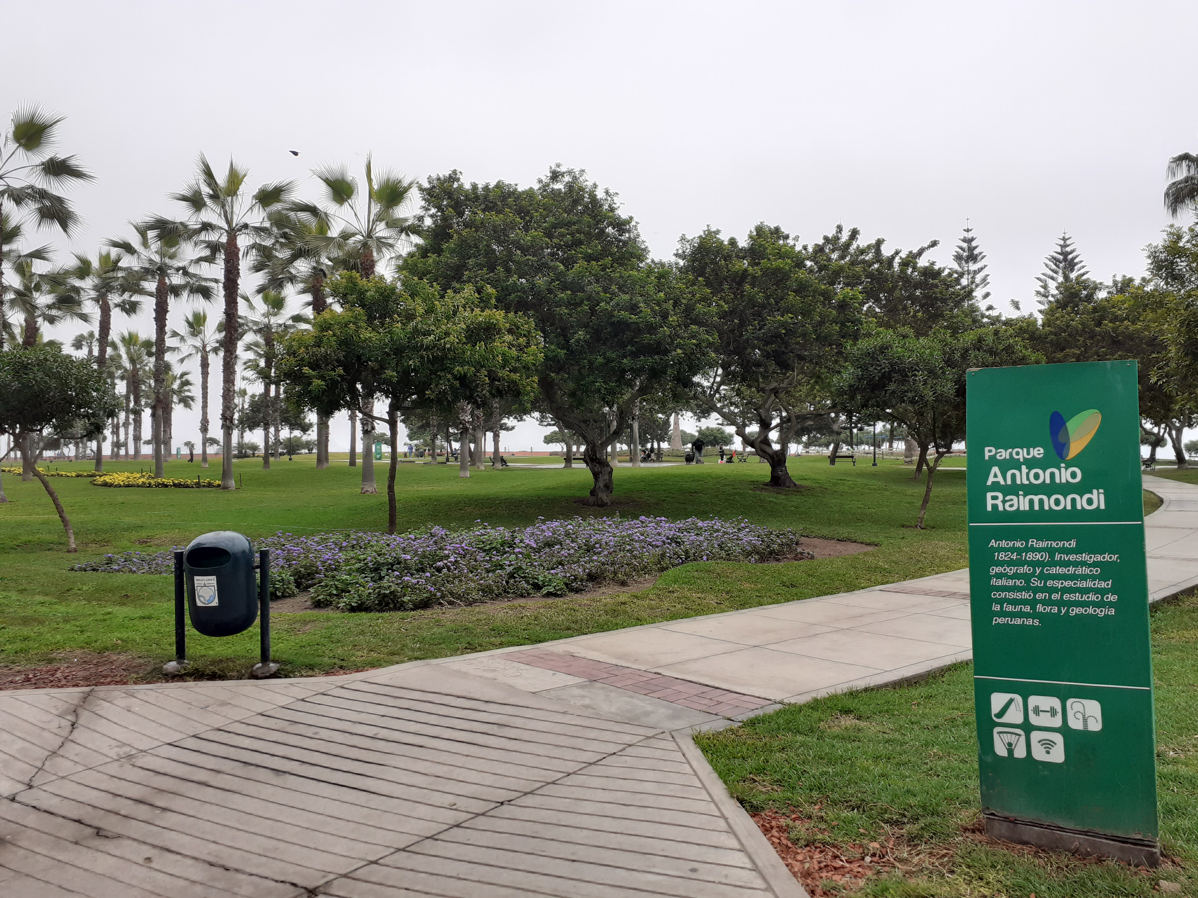 Explora Parque Raimondi - Miraflores, un lugar turístico en MIRAFLORES, Lima. Descubre su ubicación, altitud, y las actividades que ofrece.